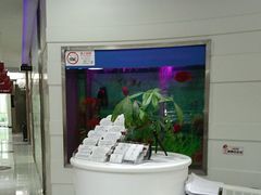 -雅悦齿科(顾村公园店)