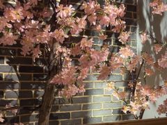 -野妹经典火锅(江夏中百店)