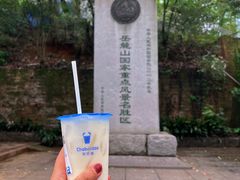 -岳麓山风景名胜区