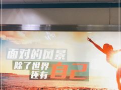 -陆家浜路(地铁站)