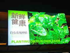 -番食园鲜食火锅(高新店)