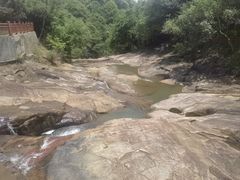 -广州白江湖森林公园