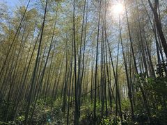 -石塘人家