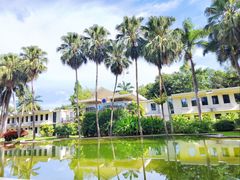 -中国科学院西双版纳热带植物园