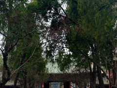 -西安碑林博物馆
