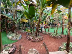 -呀路古热带植物园