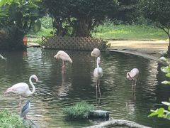 -九龙公园