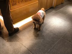 -谷田稻香(昌里路店)