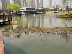 -青枫公园