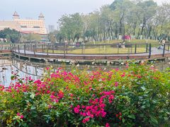 -映月湖公园