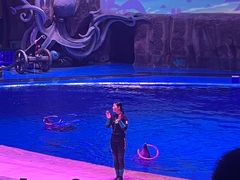 -华夏文旅海洋公园