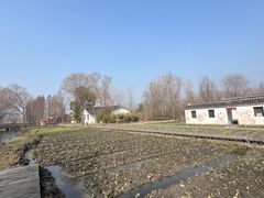 -溱湖国家湿地公园