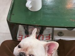 -Tequila Espresso(嘉善路店)