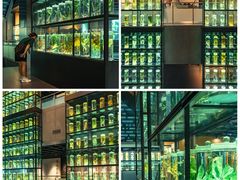 -广东中医药博物馆