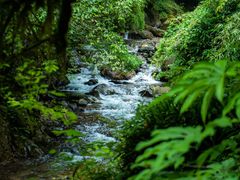 -西岭雪山大飞水景区