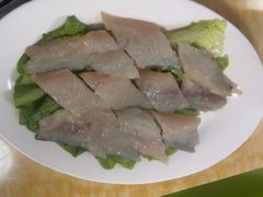 -金砂阿洲鱼册店