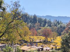 -塔川景区