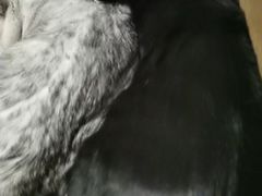 -中国人民解放军总医院