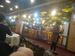 -一煲鸽