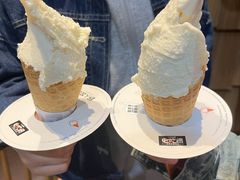 -野人先生现做冰淇淋(北京顺义祥云小镇店)