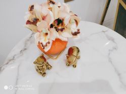 -MIVI野生眉纹绣纹眉