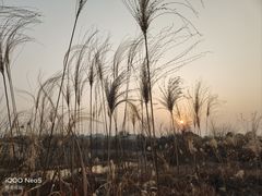 -良渚古城遗址公园
