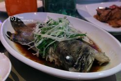 -郑州绿地JW万豪酒店·宴会厅