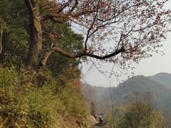 -会稽山峡洞漂流-上青古道