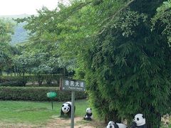 -亚龙湾国际玫瑰谷