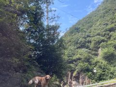 -安吉龙王山峡谷漂流