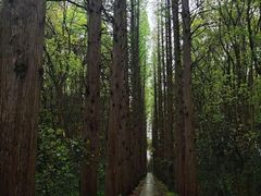 -同里国家湿地公园