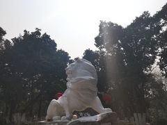 -环城公园-琥珀潭