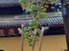 -西园戒幢律寺