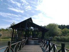 -溱湖国家湿地公园