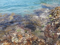 -双月湾小星山潜水·浮潜俱乐部