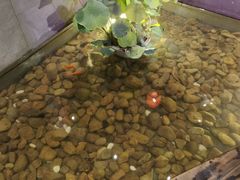 -姚江春中餐厅·太平洋大酒店
