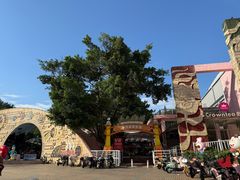 -顺德大良半月城游乐场