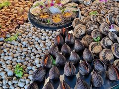 门口自主选海鲜-海味当家·蒸锅海鲜(星海公园店)