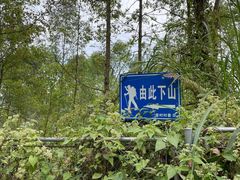 -黄埔油麻山森林公园