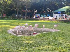 -广州长隆飞鸟乐园