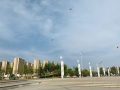 -丁香湖公园
