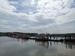-大湾区中央湿地公园