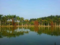 -揭东万竹园旅游景区