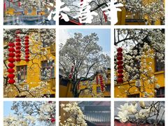 -杭州上天竺法喜讲寺