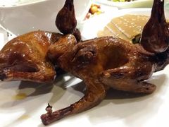 -琬苑鸽庄·川粤融合菜(解放碑总店)