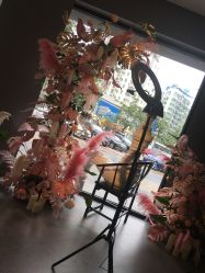 -奈瑞儿美颜美养SPA