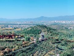 -密云玫瑰情园