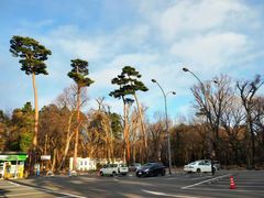 -三鹰之森吉卜力美术馆