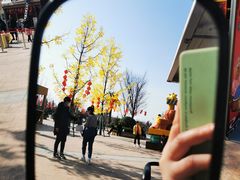 -郑州方特梦幻王国