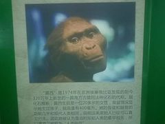 -辽宁古生物博物馆